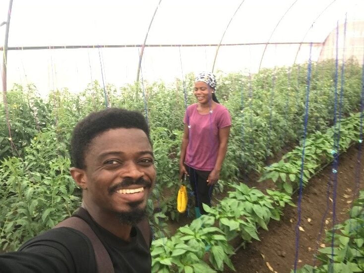 Agronomy-training-greenhouse-farming-joebenbless-agric (2)