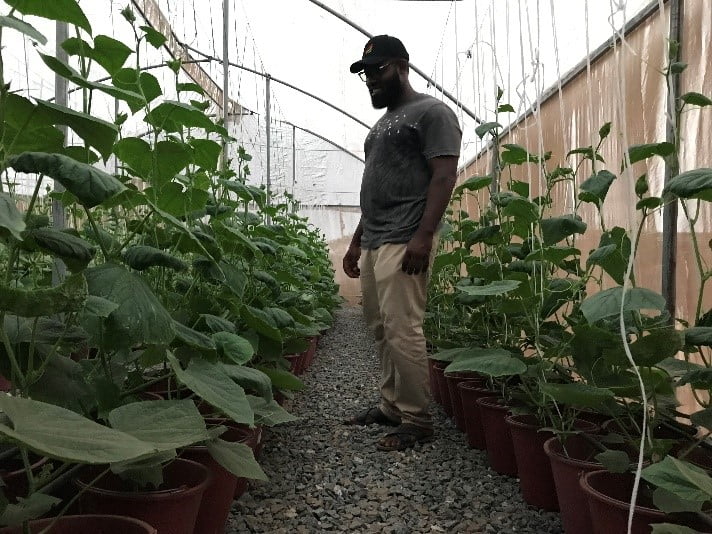 Agronomy-training-greenhouse-farming-joebenbless-agric (4)